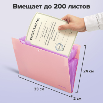 Папка-органайзер на кнопке 12 отделений, BRAUBERG "Extra", А4, персиковая с лавандовым, 271931 за 236 ₽. Папки пластиковые с отделениями. Доставка по России. Без переплат!