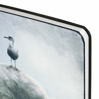 Блокнот А5 (143x210 мм), BRAUBERG VISTA "Spirit", под кожу, гибкий, 80 л., 112084 за 203 ₽. Бизнес-блокноты и бизнес-тетради. Доставка по России. Без переплат!