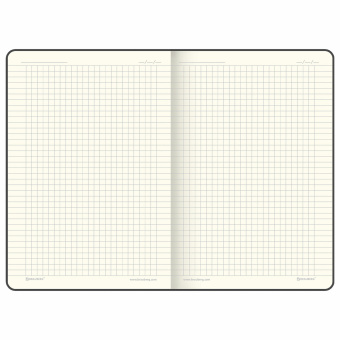 Блокнот А5 (148х218 мм), BRAUBERG "DUO", под кожу с резинкой, 80 л., клетка, синий/розовый, 113434 за 241 ₽. Бизнес-блокноты и бизнес-тетради. Доставка по России. Без переплат!