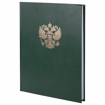 Книга учета 96 л., клетка, твердая, бумвинил, офсет, герб, А4 (200х290 мм), BRAUBERG, зеленая, 130277 за 241 ₽. Книги учета универсальные. Доставка по России. Без переплат!
