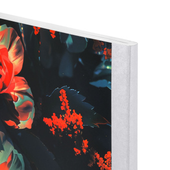 Тетрадь А4 96 л. BRAUBERG, на сшивке с корешком, клетка, обложка картон, "Flowers", 405286 за 135 ₽. Тетради формата А4. Доставка по России. Без переплат!