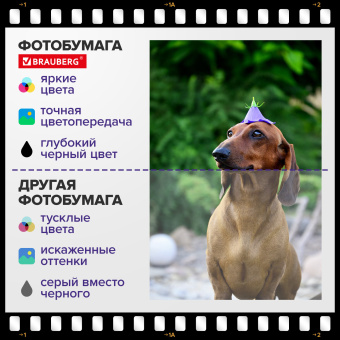 Фотобумага матовая, А4, 90 г/м2, односторонняя, 100 листов, ПАКЕТ, BRAUBERG ORIGINAL, 364424 за 375 ₽. Фотобумага. Доставка по России. Без переплат!