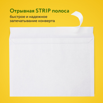 Конверты С5 (162х229 мм), отрывная лента, 80 г/м2, КОМПЛЕКТ 1000 шт. за 3 152 ₽. Конверты почтовые. Доставка по России. Без переплат!