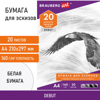 Папка для рисования А4, 20 л., 160 г/м2, BRAUBERG, 210х297 мм, "Орел", 125230 за 87 ₽. Альбомы, скетчбуки и бумага для графики и эскизов. Доставка по России. Без переплат!