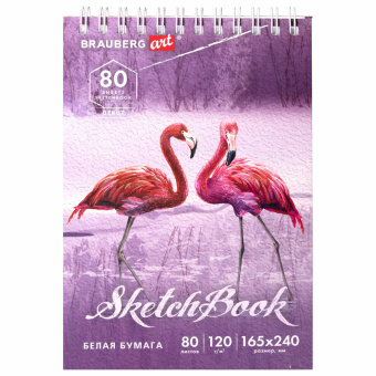 Скетчбук, белая бумага 120 г/м2 165х240 мм, 80 л., гребень, твердая обложка, BRAUBERG ART DEBUT, 112990 за 110 ₽. Альбомы, скетчбуки и бумага для графики и эскизов. Доставка по России. Без переплат!
