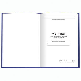 Журнал учёта выдачи инструкций по охране труда, 96 л., А4 200х290 мм, бумвинил, офсет, BRAUBERG, 130256 за 298 ₽. Журналы регистрации. Доставка по России. Без переплат!