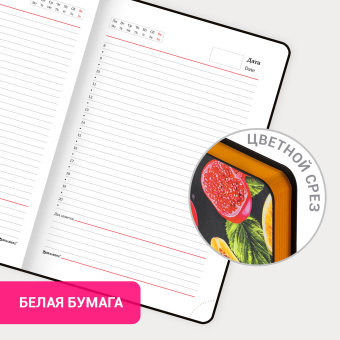 Ежедневник недатированный А5 (138х213 мм), BRAUBERG VISTA, под кожу, гибкий, 136 л., "Fruit story", 112024 за 298 ₽. Ежедневники с покрытием "под кожу и ткань". Доставка по России. Без переплат!