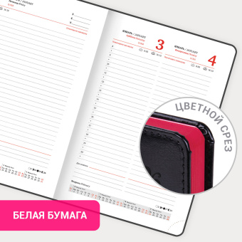 Ежедневник датированный 2026, А5, 138x213 мм, BRAUBERG "Rainbow", под кожу, черный, 117079 за 185 ₽. Ежедневники с покрытием "под кожу и ткань". Доставка по России. Без переплат!