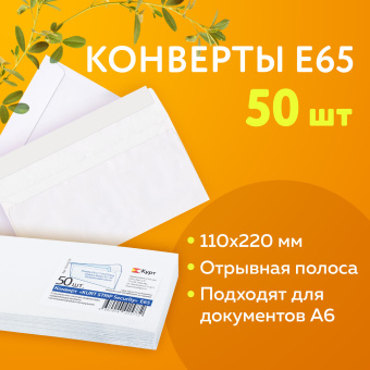 Конверты Е65 (110х220 мм), SECURITY, отрывная лента, 80 г/м2, КОМПЛЕКТ 50 шт., внутренняя запечатка, 121182.50 за 218 ₽. Конверты почтовые. Доставка по России. Без переплат!