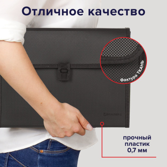 Папка для бумаг и документов с замком и 13 отделениями BRAUBERG "HIT", А4, пластик, черная, 229572 за 239 ₽. Папки пластиковые с отделениями. Доставка по России. Без переплат!