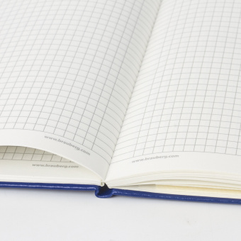 Блокнот А5 (148x218 мм), BRAUBERG "Metropolis Special", под кожу, 80 л., резинка, клетка, синий, 111574 за 451 ₽. Бизнес-блокноты и бизнес-тетради. Доставка по России. Без переплат!