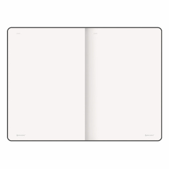 Блокнот-скетчбук БОЛЬШОЙ ФОРМАТ (190х250 мм) В5, BRAUBERG ULTRA, 80 г/м2, 96 л., без линовки, красный, 113066 за 242 ₽. Бизнес-блокноты и бизнес-тетради. Доставка по России. Без переплат!