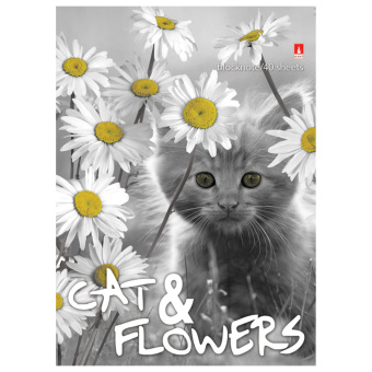 Блокнот МАЛЫЙ ФОРМАТ А6, 40 л., гребень, ламинированный картон, клетка, Альт, "Котята", (5 видов), 3-40-028 за 29 ₽. Блокноты. Доставка по России. Без переплат!