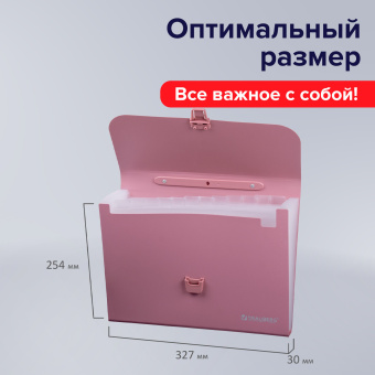 Папка-портфель пластиковая BRAUBERG А4 (327х254х30 мм), 13 отделений, розовая, 221441 за 709 ₽. Портфели пластиковые. Доставка по России. Без переплат!