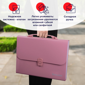 Папка-портфель пластиковая BRAUBERG А4 (327х254х30 мм), 13 отделений, розовая, 221441 за 709 ₽. Портфели пластиковые. Доставка по России. Без переплат!