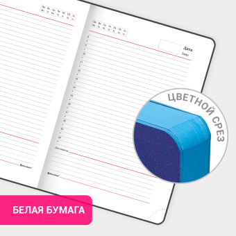 Ежедневник недатированный А5 138х213 мм, BRAUBERG GRADE, под кожу, 136 л., синий-зелёный, 114460 за 286 ₽. Ежедневники с покрытием "под кожу и ткань". Доставка по России. Без переплат!