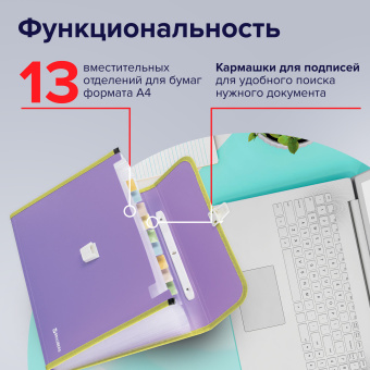 Папка-портфель пластиковая BRAUBERG "JOY", А4 (330х245х35 мм), 13 отделений, с окантовкой, фиолетовая, 227977 за 507 ₽. Портфели пластиковые. Доставка по России. Без переплат!