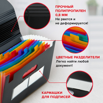 Папка-органайзер для бумаг и документов на резинке, 13 отделений, BRAUBERG DOCS, А4, черная, 271152 за 586 ₽. Папки пластиковые с отделениями. Доставка по России. Без переплат!
