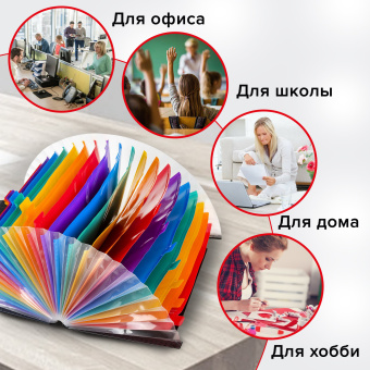Папка-органайзер для бумаг и документов на резинке, 25 отделений, BRAUBERG DOCS, А4, черная, 271151 за 809 ₽. Папки пластиковые с отделениями. Доставка по России. Без переплат!