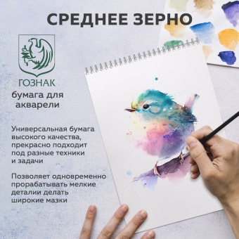 Скетчбук, акварельная белая бумага 200 г/м ГОЗНАК, 205х290 мм, 20 л., гребень, подложка, BRAUBERG ART DEBUT, 110991 за 214 ₽. Альбомы и бумага для акварели и масла. Доставка по России. Без переплат!