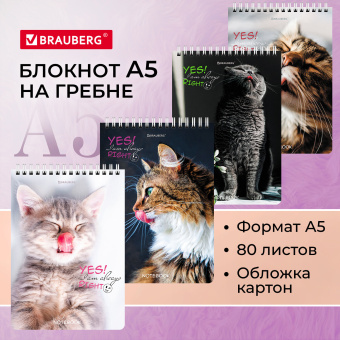 Блокнот А5 (146х206 мм), 80 л., гребень, картон, клетка, BRAUBERG, "Довольные коты", 114374 за 52 ₽. Блокноты. Доставка по России. Без переплат!