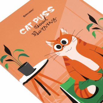 Дневник 1-11 класс 40 л., твердый, BRAUBERG, глянцевая ламинация, "Cute cat", 106852 за 48 ₽. Дневники универсальные. Доставка по России. Без переплат!