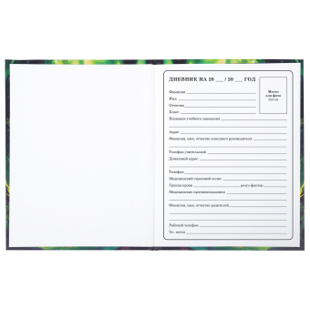Дневник 1-4 класс 48 л., твердый, BRAUBERG, блестки, с подсказом, "Фея", 106840 за 26 ₽. Дневники для младших классов. Доставка по России. Без переплат!