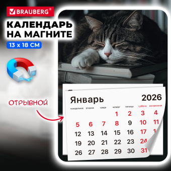 Календарь отрывной на магните на 2026 г., BRAUBERG, 130x180 мм, склейка, "Спящий кот", 117292 за 53 ₽. Календари настенные. Доставка по России. Без переплат!