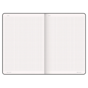 Блокнот БОЛЬШОЙ ФОРМАТ (180х250 мм) В5, BRAUBERG ULTRA, балакрон, 80 г/м2, 96 л., клетка, красный, 113062 за 444 ₽. Бизнес-блокноты и бизнес-тетради. Доставка по России. Без переплат!