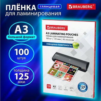 Пленки-заготовки для ламинирования БОЛЬШОГО ФОРМАТА, А3, КОМПЛЕКТ 100 шт., 125 мкм, BRAUBERG, 530799 за 1 972 ₽. Пакеты для ламинирования. Доставка по России. Без переплат!