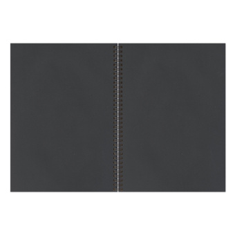 Скетчбук, черная бумага 120 г/м2, 148х210 мм, 32 л., гребень, BRAUBERG ART CLASSIC, 128952 за 248 ₽. Альбомы, скетчбуки и бумага для графики и эскизов. Доставка по России. Без переплат!