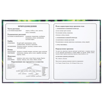 Дневник 1-4 класс 48 л., твердый, BRAUBERG, блестки, с подсказом, "Фея", 106840 за 26 ₽. Дневники для младших классов. Доставка по России. Без переплат!