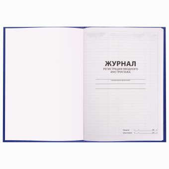 Журнал регистрации вводного инструктажа, 96 л., А4 200х290 мм, бумвинил, офсет BRAUBERG, 130258 за 300 ₽. Журналы регистрации. Доставка по России. Без переплат!