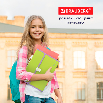 Папка-портфель пластиковая BRAUBERG "JOY", А4 (330х245х35 мм), 13 отделений, с окантовкой, салатовая, 227974 за 640 ₽. Портфели пластиковые. Доставка по России. Без переплат!