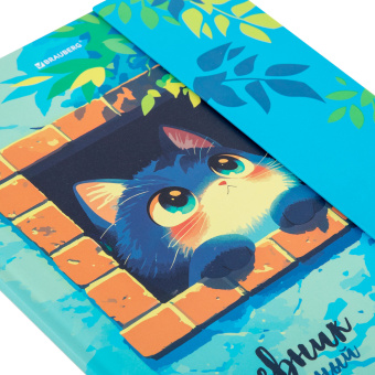 Дневник 1-11 класс 48 л., твердый, BRAUBERG, матовая ламинация, магнитный клапан, закладка-ляссе, с подсказом, "Котик", 107244 за 107 ₽. Дневники универсальные. Доставка по России. Без переплат!