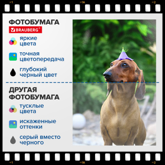 Фотобумага глянцевая, А4, 230 г/м2, односторонняя, 100 листов, ПАКЕТ, BRAUBERG ORIGINAL 364421 за 731 ₽. Фотобумага. Доставка по России. Без переплат!