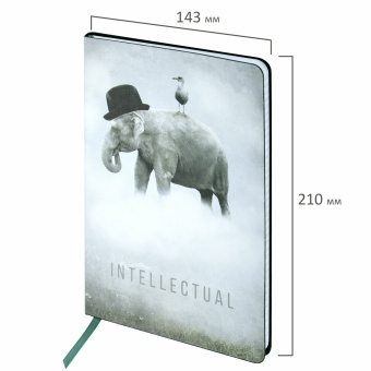 Блокнот А5 (143x210 мм), BRAUBERG VISTA "Spirit", под кожу, гибкий, 80 л., 112084 за 203 ₽. Бизнес-блокноты и бизнес-тетради. Доставка по России. Без переплат!