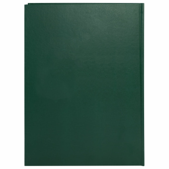Книга учета 96 л., клетка, твердая, бумвинил, офсет, герб, А4 (200х290 мм), BRAUBERG, зеленая, 130277 за 241 ₽. Книги учета универсальные. Доставка по России. Без переплат!