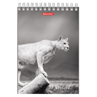 Блокнот А5, 146х205 мм, 60 л., гребень, картон, жесткая подложка, клетка, BRAUBERG, "Животные", 129810 за 68 ₽. Блокноты. Доставка по России. Без переплат!