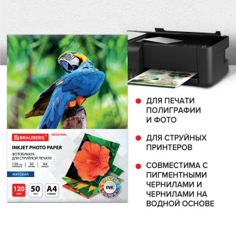Фотобумага матовая, А4, 120 г/м2, односторонняя, 50 листов, BRAUBERG ORIGINAL, 363981 за 275 ₽. Фотобумага. Доставка по России. Без переплат!