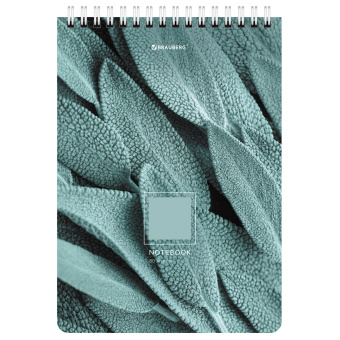 Блокнот А5 (146х206 мм), 80 л., гребень, картон, клетка, BRAUBERG, "Яркие листья", 114372 за 72 ₽. Блокноты. Доставка по России. Без переплат!