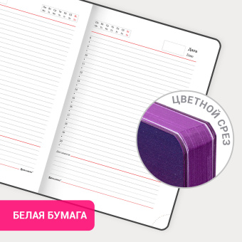 Ежедневник недатированный А5 138х213 мм, BRAUBERG "Grade", под кожу, 136 л., фиолетовый-жёлтый, 114462 за 258 ₽. Ежедневники с покрытием "под кожу и ткань". Доставка по России. Без переплат!