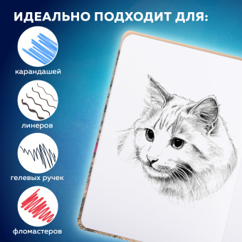 Скетчбук, белая бумага 160 г/м, 145х203 мм, 64 л., резинка, твердый, BRAUBERG ART CLASSIC "Это Кот", 114589 за 240 ₽. Альбомы, скетчбуки и бумага для графики и эскизов. Доставка по России. Без переплат!