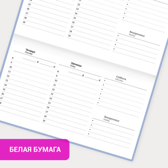 Еженедельник недатированный с резинкой 171х93 мм, BRAUBERG, твердый, 64 л., "Minimal", голубой, 116313 за 155 ₽. Планинги. Доставка по России. Без переплат!