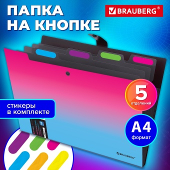 Папка-органайзер на кнопке 5 отделений, BRAUBERG GRADE, A4, розово-голубой градиент, 274091 за 169 ₽. Папки пластиковые с отделениями. Доставка по России. Без переплат!