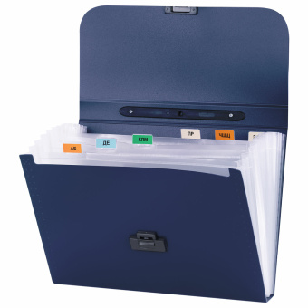 Папка-портфель пластиковая BRAUBERG "Energy" А4 (330х256х32 мм), 7 отделений, синяя, 222572 за 433 ₽. Портфели пластиковые. Доставка по России. Без переплат!
