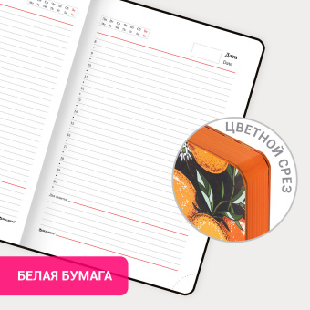 Ежедневник недатированный А5 (138х213 мм), BRAUBERG VISTA, под кожу, гибкий, 136 л., "Orange story", 112018 за 501 ₽. Ежедневники с покрытием "под кожу и ткань". Доставка по России. Без переплат!