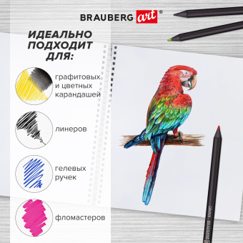 Скетчбук, белая бумага, 160 г/м2, плотная, 19х19 см, 60 л., гребень, твердая обложка, КРАФТ, BRAUBERG ART CLASSIC, 116366 за 200 ₽. Альбомы, скетчбуки и бумага для графики и эскизов. Доставка по России. Без переплат!