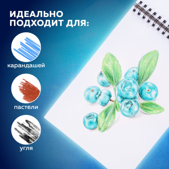 Скетчбук, белая бумага 190 г/м2, 297х210 мм, 60 л., гребень, твердая обложка, BRAUBERG ART CLASSIC, 113853 за 347 ₽. Альбомы, скетчбуки и бумага для графики и эскизов. Доставка по России. Без переплат!
