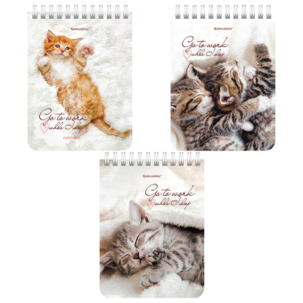 Блокнот МАЛЫЙ ФОРМАТ А6 108х145 мм, 40 л., гребень, картон, клетка, BRAUBERG, "Милые котята", 114391 за 30 ₽. Блокноты. Доставка по России. Без переплат!